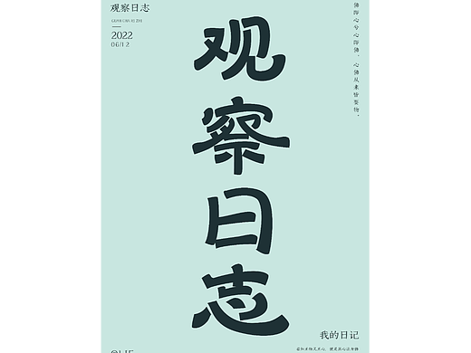 观察日志