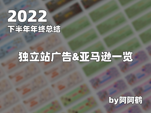 2022下半年独立站&亚马逊年终总结