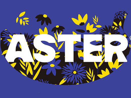 品牌全案｜香蕉设计 ╳ Aster添彩