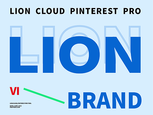 LionCloud Web Tool 丨狮子云丨Brand VI