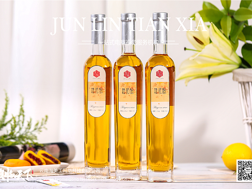 食品/酒水【果酒类】