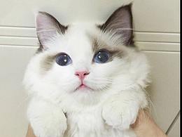 名人名言【上】