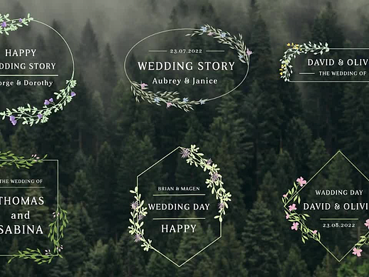 PR模板 | 浪漫简约手绘形状框婚礼字幕标题展示