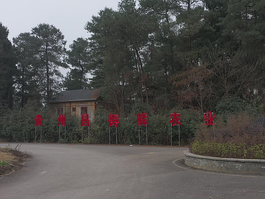 贵州昌得辉农业科技有限公司（个人主页-ZMTUxOTc5Mg==） - 其他 - 站酷设计师xyz888原创素材 - 站酷ZCOOL