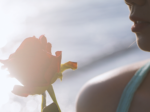 < Meet With Summer >