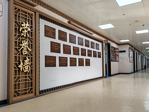 中医医院文化氛围打造«梅奥艺术»医院文化墙设计案例