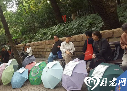 上海结婚年龄：2023年男性平均年龄35.3岁，女性33.3岁（个人主页-ZNjgxODU4NzY=） - 其他 - 站酷设计师月老网征婚原创素材 - 站酷ZCOOL