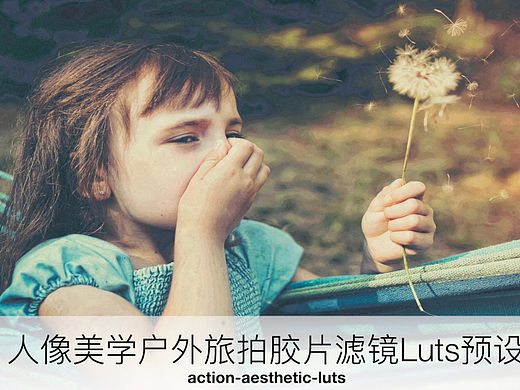 人像美学户外旅拍胶片滤镜Luts预设