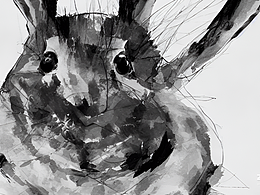 奇形怪狀的兔子們