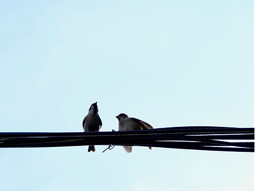 解封后的上海（个人主页-ZNjAzMDkwNzY=） - 人文/纪实摄影 - 站酷设计师一沙叶工作室原创素材 - 站酷ZCOOL