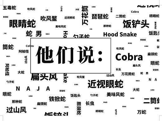 《也可以这样》创意互动书籍设计