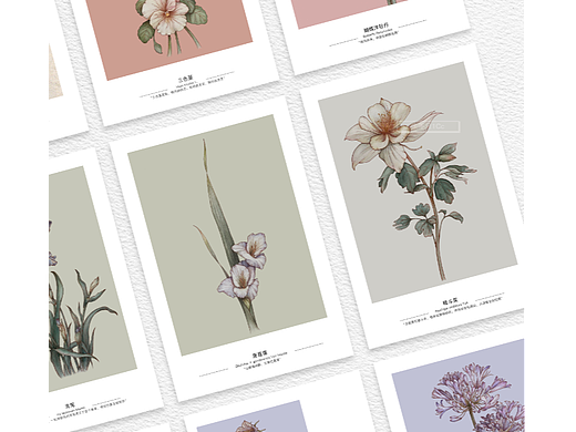 近期手繪植物系列合集|明信片?（個(gè)人主頁(yè)-ZNjU0ODAyNjA=） - 商業(yè)插畫(huà) - 站酷設(shè)計(jì)師不只1Cc原創(chuàng)素材 - 站酷ZCOOL