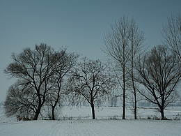 我的家鄉(xiāng)河南省西平縣
