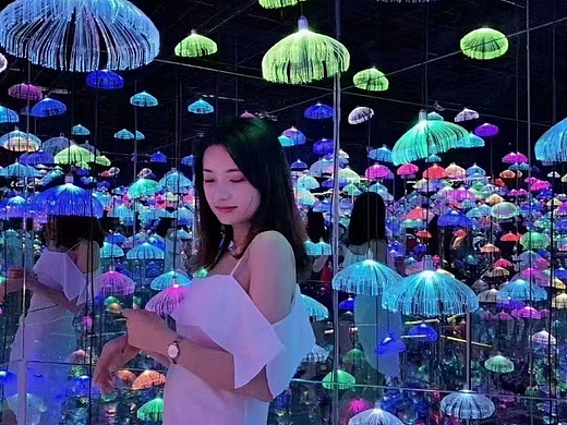 大型梦幻灯光展出租出售灯光节造型定制制作租赁景区