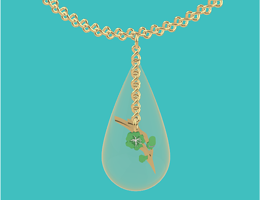 挚爱呵护-温润如玉梅