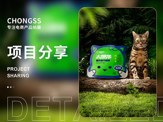 宠物产品摄影|宠叔叔  X  喵铮铮