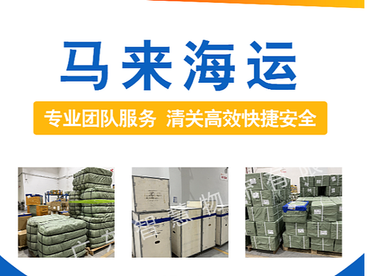 马来海运专线 马来海运双清到门海报