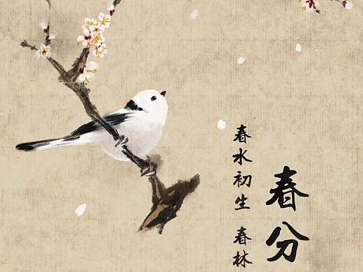 春分——二十四节气系列插画