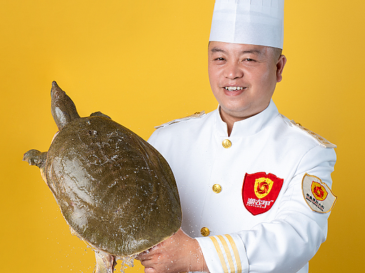 美食 | 湘农甲 甲鱼拍摄 | 长沙黑衣人摄影