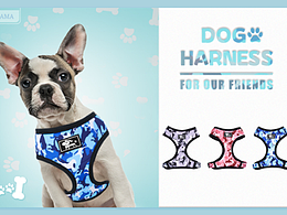 亞馬遜 寵物 牽引繩