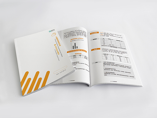 基因营养报告设计与渲染