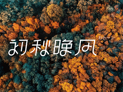 字体设计|初秋晚风