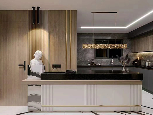 轻奢高级黑,不一样的优雅住宅