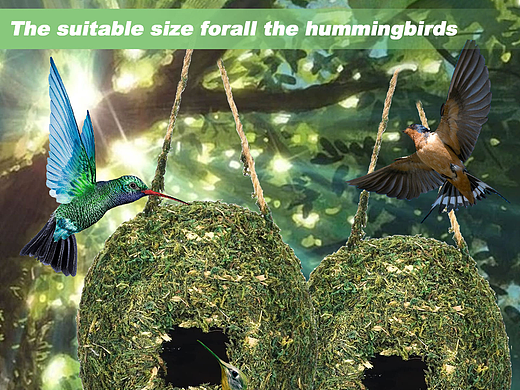 亚马逊主图-鸟窝