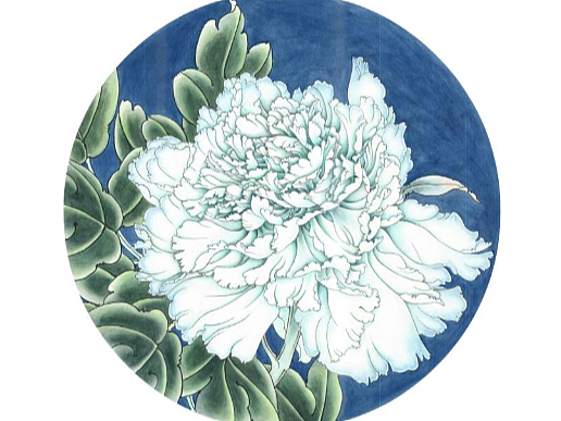 Paeonia × suffruticosa Andr.