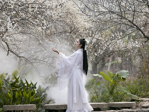 梅花