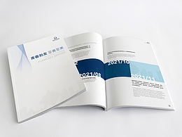 畫冊設(shè)計 | 青發(fā)集團