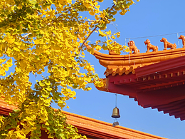 洗心禅寺-2023年秋