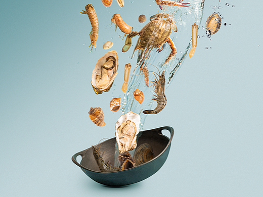 開海季（个人主页-ZNjE2OTMwMTI=） - 美食摄影 - 站酷设计师南书房杨坤原创素材 - 站酷ZCOOL