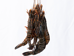 一组海产品的拍摄2| 八分青岛美食食品摄影