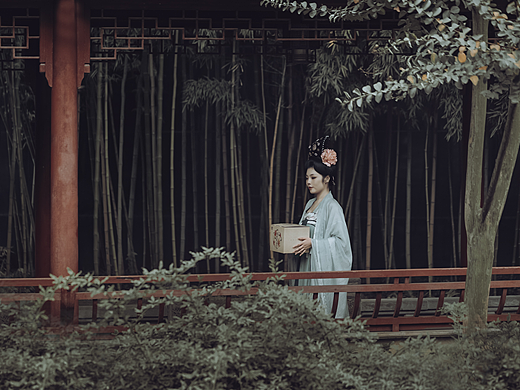 大益普洱饼茶·国色天香 宣传片策划 商业摄影