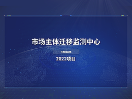 可视化市场主体迁移监测中心