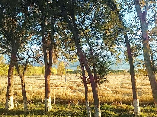 哈密的雪山追逐（個人主頁-ZNjY4MjI5MDA=） - 風(fēng)光攝影 - 站酷設(shè)計師moconi原創(chuàng)素材 - 站酷ZCOOL