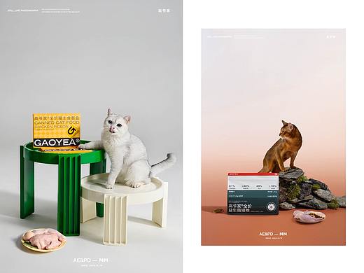 猫粮宠物食品摄影 I 高爷家 x LensVision摄影