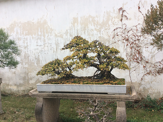 心动风景～好看的风景