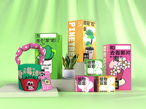 【叶(？)植物盲盒】｜文创品牌视觉设计