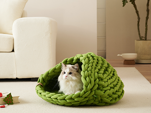 #cats#猫窝#影棚实景创意拍摄#gwstudio