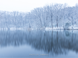 金陵雪