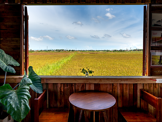 油菜花（個人主頁-ZNjU3MzY4NDA=） - 風(fēng)光攝影 - 站酷設(shè)計師捕捉一只蝴蝶原創(chuàng)素材 - 站酷ZCOOL