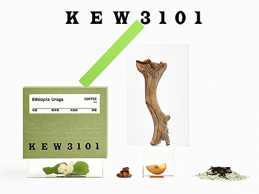 KEW3101 | 雨雾之林系列精品挂耳 | 电商摄影