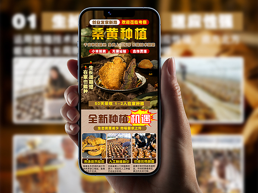 广告招商——落地页