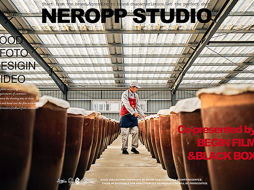 大酱的奇妙冒险｜ NEROPP STUDIO
