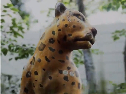 Jungle丛林系列-豹