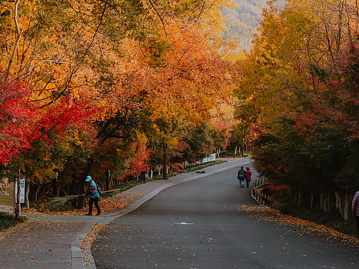 秋天的南京城-2