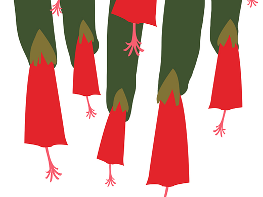 花卉插画设计  悬铃花绘画  拼贴风 简约装饰画