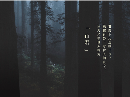 老虎主题 KV